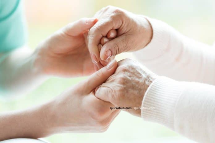 Building a Warm, Nurturing Environment for Aging Loved Ones - Quirko hub